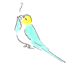 Cute Little Parakeet - HAPPY LIFE sticker #325630