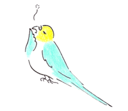 Cute Little Parakeet - HAPPY LIFE sticker #325630