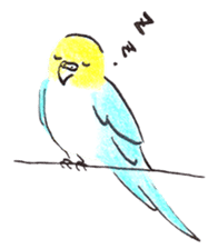 Cute Little Parakeet - HAPPY LIFE sticker #325631