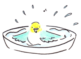 Cute Little Parakeet - HAPPY LIFE sticker #325648