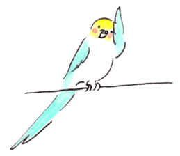 Cute Little Parakeet - HAPPY LIFE sticker #325649