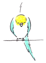 Cute Little Parakeet - HAPPY LIFE sticker #325663