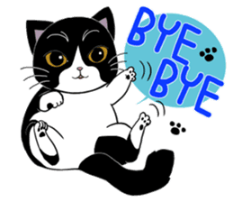 Panda-cat Mink(Japanese version) sticker #330427