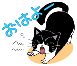 Panda-cat Mink(Japanese  version) sticker #330449