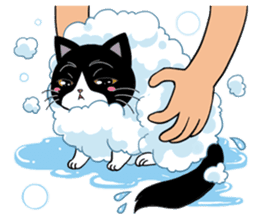 Panda-cat Mink(Japanese version) sticker #330451