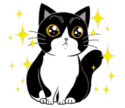 Panda-cat Mink(Japanese  version) sticker #330452