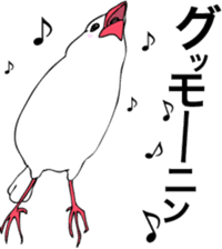 saucy ricebirds sticker #332025