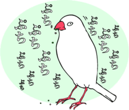 saucy ricebirds sticker #332030