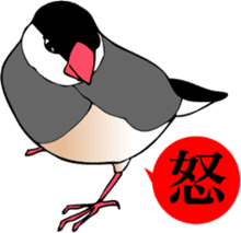 saucy ricebirds sticker #332031