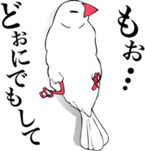 saucy ricebirds sticker #332033