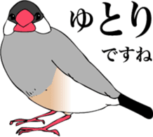 saucy ricebirds sticker #332035