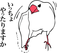 saucy ricebirds sticker #332036