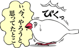 saucy ricebirds sticker #332041