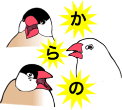 saucy ricebirds sticker #332053
