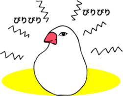 saucy ricebirds sticker #332059