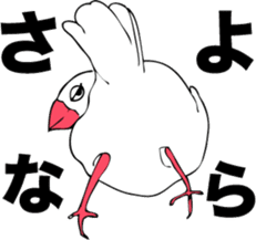 saucy ricebirds sticker #332062