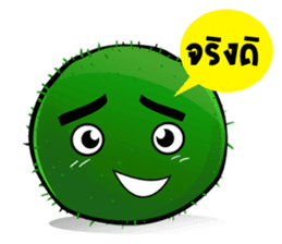 Marimo Moss Balls : Thai Edition sticker #332586