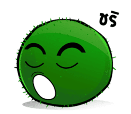 Marimo Moss Balls : Thai Edition sticker #332600