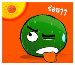 Marimo Moss Balls : Thai Edition sticker #332608