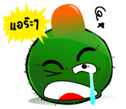 Marimo Moss Balls : Thai Edition sticker #332614