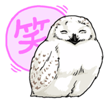 BIRDS! sticker #333311