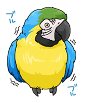 BIRDS! sticker #333315