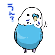 BIRDS! sticker #333318