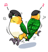 BIRDS! sticker #333338