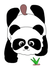Pandanuki Sticker sticker #334957