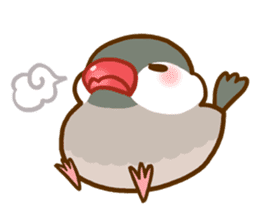 Chubby java sparrow sticker #335186