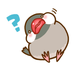 Chubby java sparrow sticker #335191