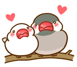 Chubby java sparrow sticker #335192