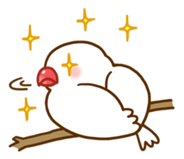 Chubby java sparrow sticker #335204