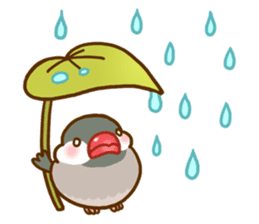 Chubby java sparrow sticker #335207