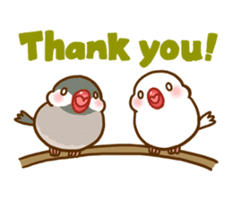 Chubby java sparrow sticker #335208