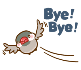 Chubby java sparrow sticker #335209