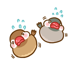 Chubby java sparrow sticker #335216