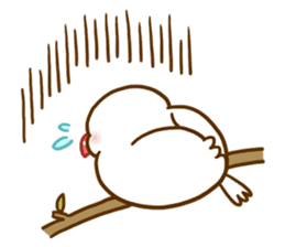 Chubby java sparrow sticker #335222