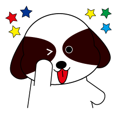 Shih Tzu dog Seachan