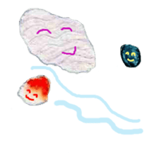 Dolphinstamps-Friends of the sea sticker #339347