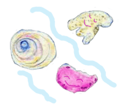 Dolphinstamps-Friends of the sea sticker #339352