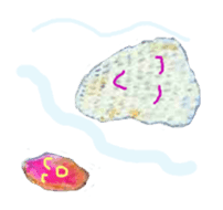 Dolphinstamps-Friends of the sea sticker #339357