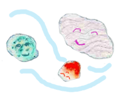 Dolphinstamps-Friends of the sea sticker #339362