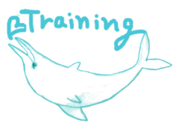 Dolphinstamps-Friends of the sea sticker #339369