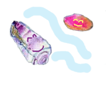 Dolphinstamps-Friends of the sea sticker #339379