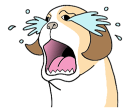 THE DOG sticker #342318