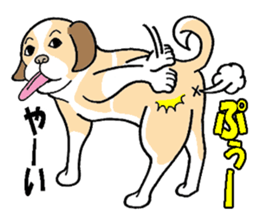 THE DOG sticker #342334