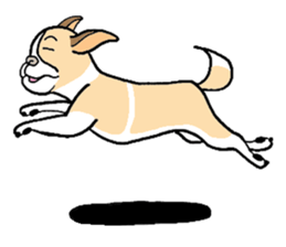 THE DOG sticker #342336