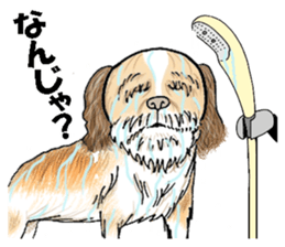 THE DOG sticker #342339