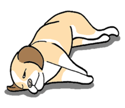 THE DOG sticker #342340